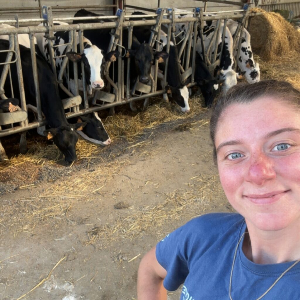 Histoire - Ferme Pedagogique Belle Vue