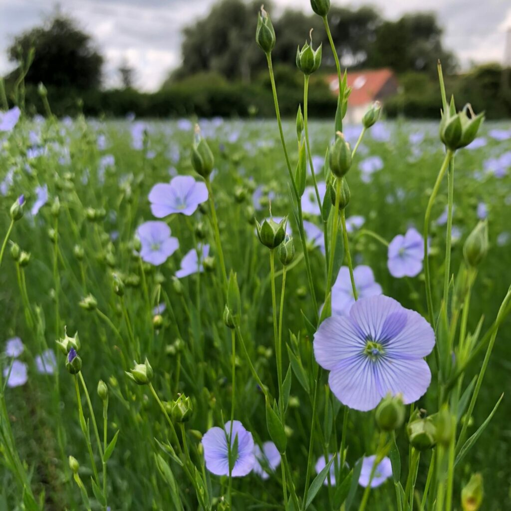 Nature - Ferme Pedagogique Belle Vue