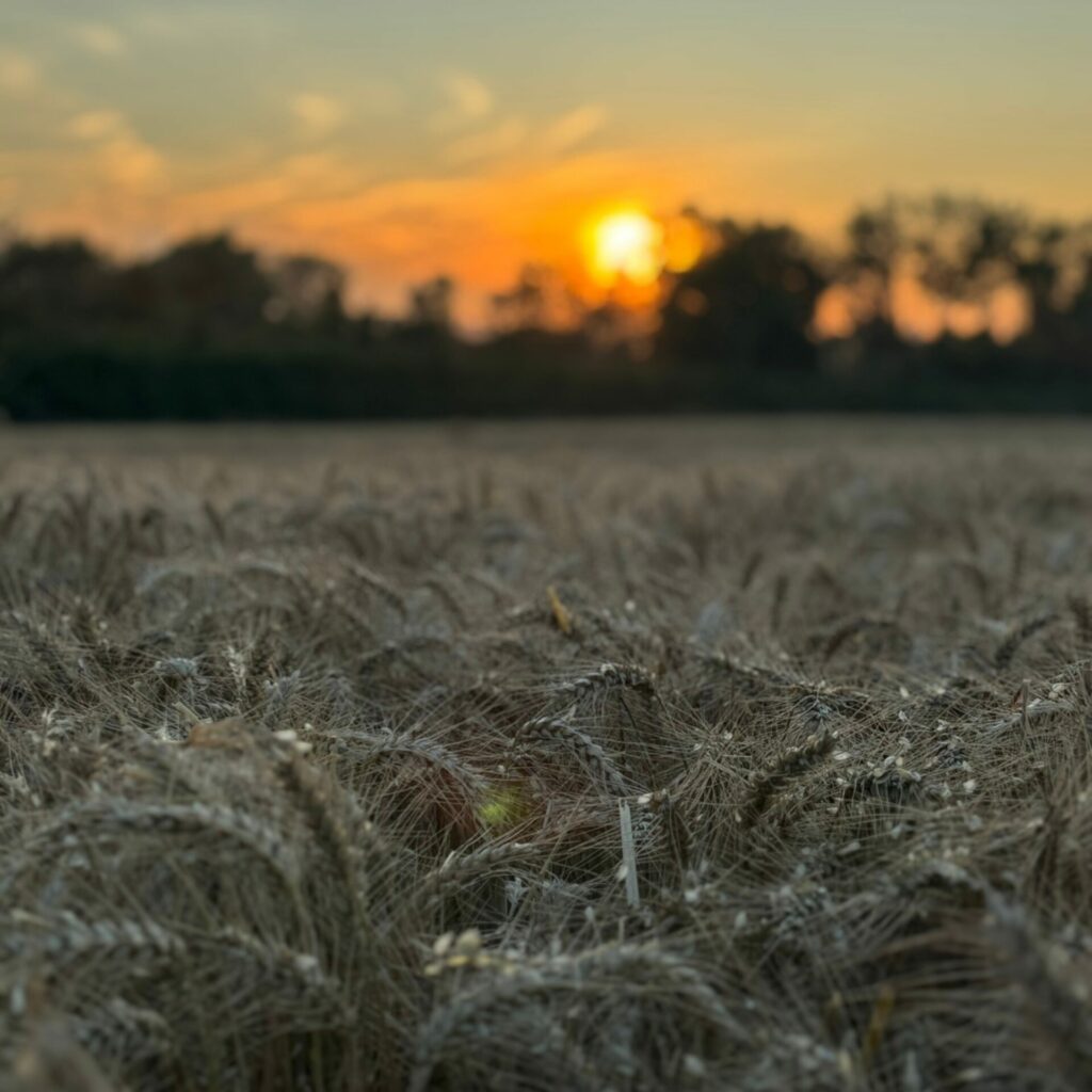 Professionnels - Ferme Pedagogique Belle Vue
