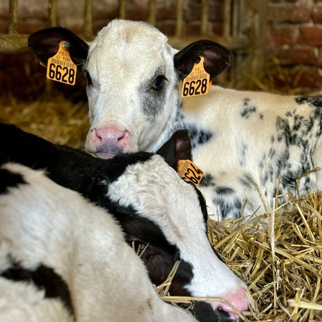 Visite Guidée - Ferme Pedagogique Belle Vue