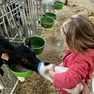 Stage apprenti fermier